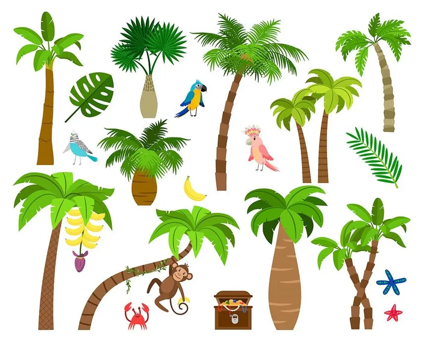 Hình ảnh cây dừa file vector mẫu KS573