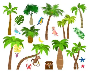 Hình ảnh cây dừa file vector mẫu KS573