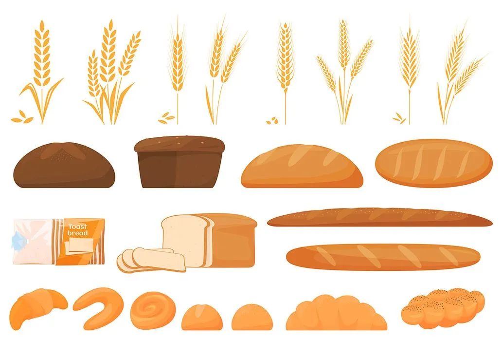 Bộ sưu tập minh họa bánh mì và lúa mì vector đa dạng, chất lượng cao