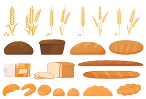 Bộ sưu tập minh họa bánh mì và lúa mì vector đa dạng, chất lượng cao
