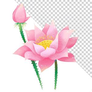 Hình ảnh bông hoa sen màu hồng file PNG mẫu CR1625