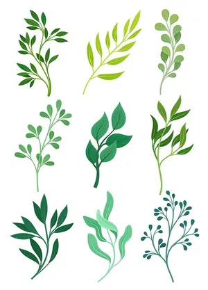 Bộ Sưu Tập Cành Lá Xanh Minh Họa EPS – Đa Dạng Thiết Kế Tự Nhiên