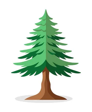 Hình ảnh cây thông file vector mẫu KS722
