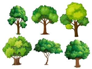 Bộ sưu tập cây xanh file vector mẫu KK21