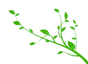 Cành Lá Xanh Tươi - Hình Minh Họa Vector EPS Độc Đáo