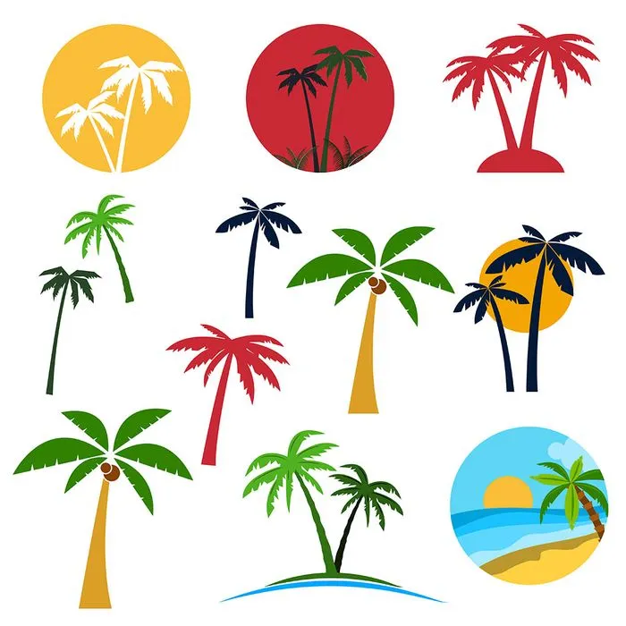 Hình ảnh cây dừa file vector mẫu KS612