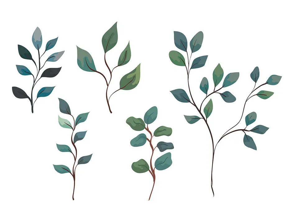 Cành Lá Xanh Tươi - Hình Minh Họa Vector EPS Đa Dụng cho Thiết Kế