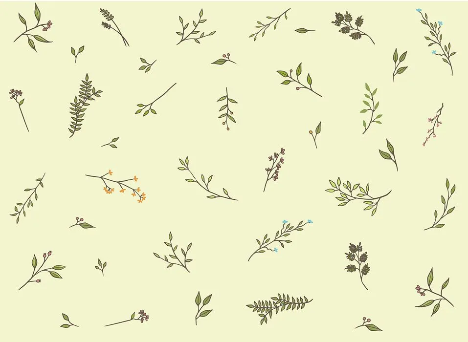 Cành Lá Trang Trí Vector EPS - Hình Minh Họa Tự Nhiên Thanh Lịch