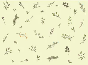 Cành Lá Trang Trí Vector EPS - Hình Minh Họa Tự Nhiên Thanh Lịch