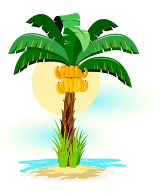 Hình ảnh cây chuối file vector mẫu KS632