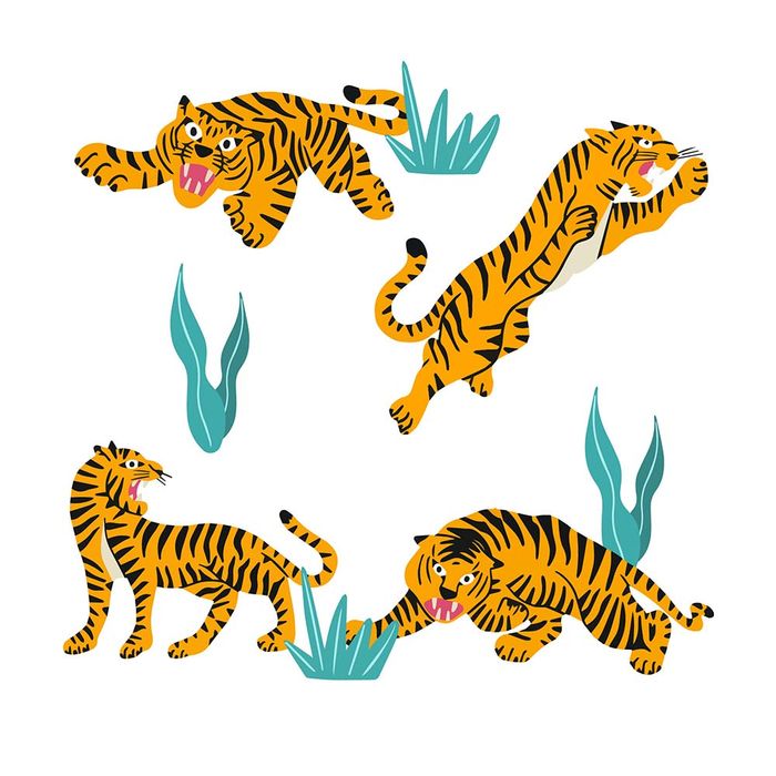 Hình ảnh chú hổ vằn file vector mẫu CR1506