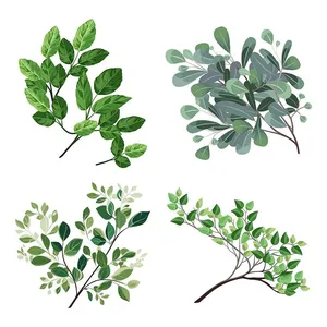 Cành Lá Xanh Tươi – Hình Minh Họa Vector EPS Đa Dạng Cho Thiết Kế