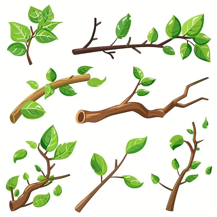 Cành Lá Xanh Tươi - Bộ Hình Minh Họa Vector EPS Đa Dạng