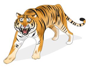 Hình ảnh chú hổ hung dữ file vector mẫu CR1463