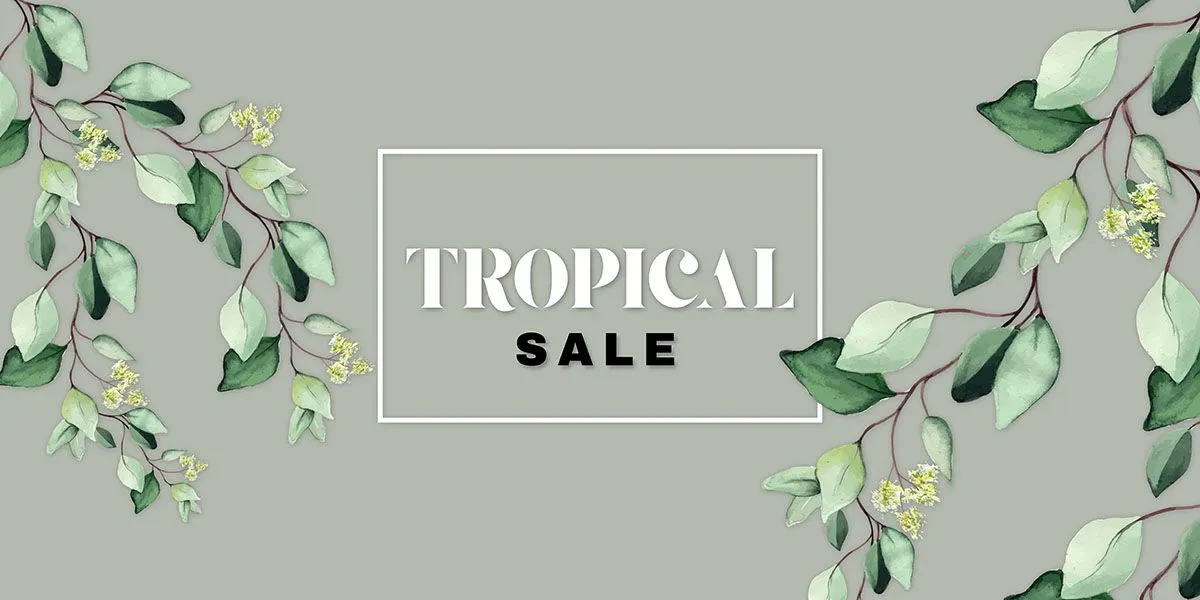 Cành Lá Xanh Minh Họa Trang Trí Thiết Kế Đồ Họa Đa Năng Cho Mùa Hè