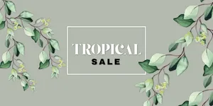 Cành Lá Xanh Minh Họa Trang Trí Thiết Kế Đồ Họa Đa Năng Cho Mùa Hè