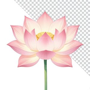 Hình ảnh bông hoa sen màu hồng file PNG mẫu CR1629