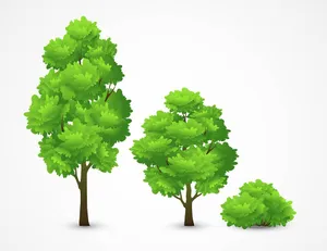 Bộ sưu tập cây xanh file vector mẫu KK91