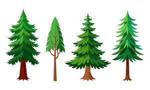 Hình ảnh cây thông file vector mẫu KS735