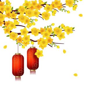 Hình ảnh đèn lồng trang trí cây mai file vector mẫu CR469