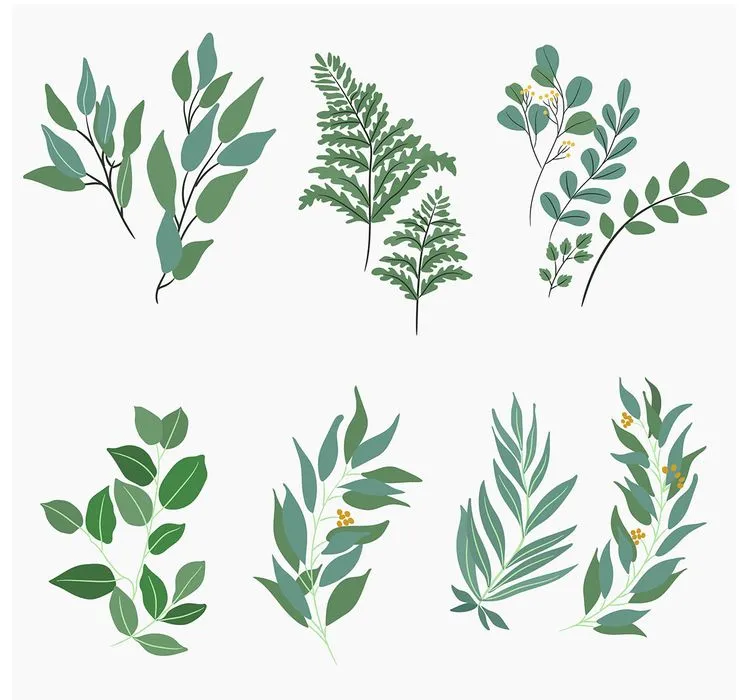 Cành Lá Xanh Tươi - Bộ Sưu Tập Vector Minh Họa Tự Nhiên