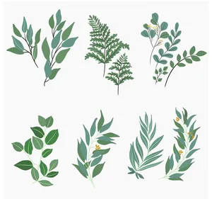 Cành Lá Xanh Tươi - Bộ Sưu Tập Vector Minh Họa Tự Nhiên