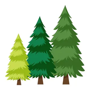 Hình ảnh cây thông file vector mẫu KS751