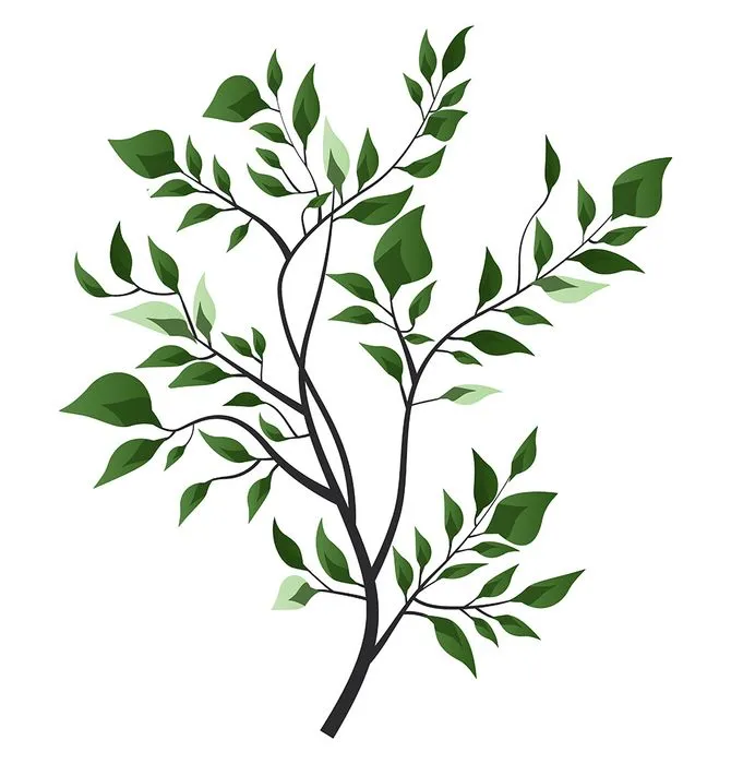 Cành Lá Xanh Tươi - Hình Minh Họa Vector EPS Đa Năng Cho Thiết Kế