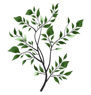 Cành Lá Xanh Tươi - Hình Minh Họa Vector EPS Đa Năng Cho Thiết Kế