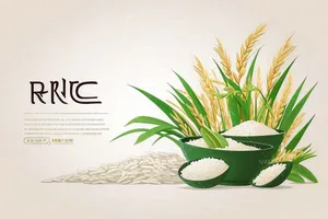 Banner quảng cáo lúa gạo file JPG mẫu KS913