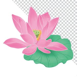 Hình ảnh hoa sen cùng lá sen file PNG mẫu CR1662