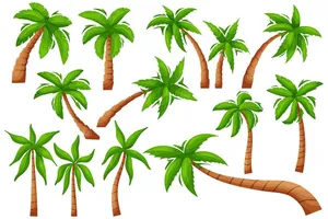 Bộ sưu tập cây dừa file vector mẫu KS650