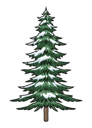 Hình ảnh cây thông file vector mẫu KS712