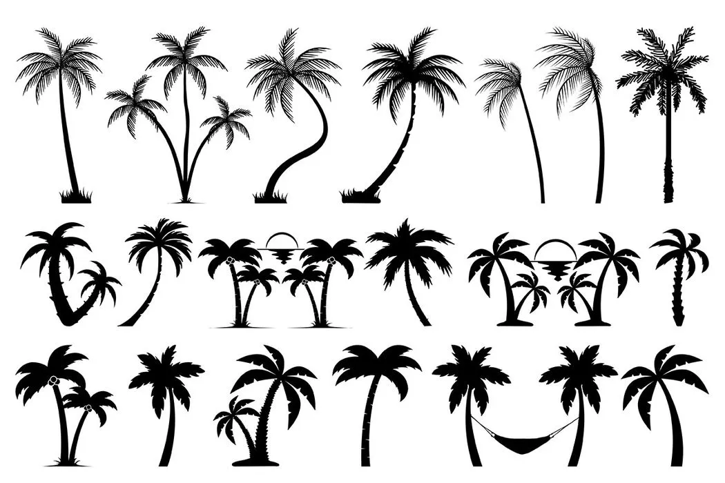 Hình ảnh cây dừa file vector mẫu KS627