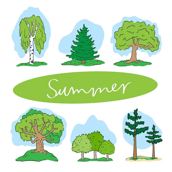 Bộ sưu tập cây xanh file vector mẫu KK73