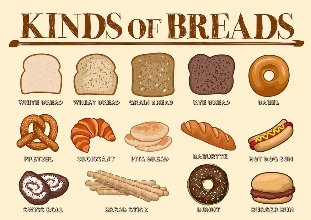 Các Loại Bánh Mì - Hình Minh Họa Vector Đa Dạng