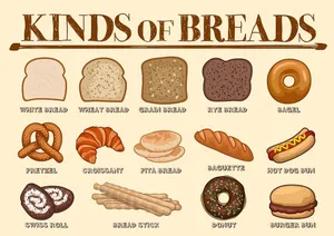 Các Loại Bánh Mì - Hình Minh Họa Vector Đa Dạng