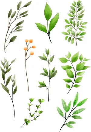 Bộ Cành Lá Xanh Minh Họa Dễ Thương – File EPS Vector Cao Cấp