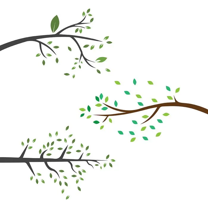 Cành Lá Xanh Tươi - Hình Minh Họa Vector EPS Độc Đáo