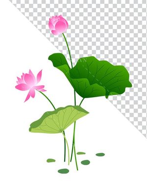 Hình ảnh hoa sen cùng lá sen file PNG mẫu CR1659
