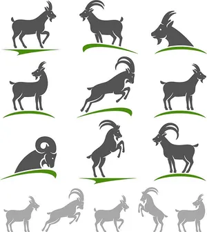 Hình ảnh chú dê file vector mẫu KS486
