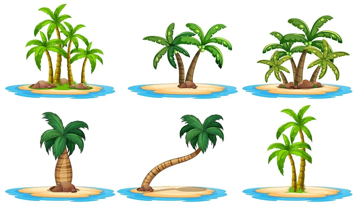Bộ sưu tập cây dừa file vector mẫu KS578