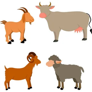 Hình ảnh hai chú dê file vector mẫu KS506