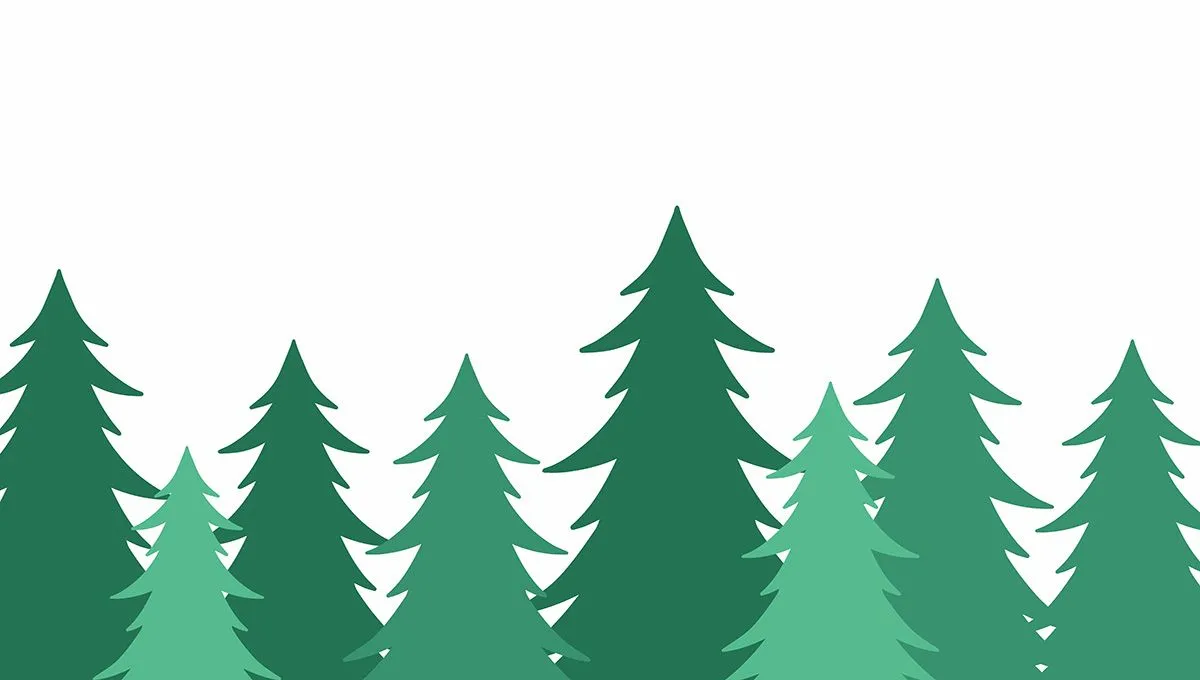 Hình ảnh cây thông file vector mẫu KS711