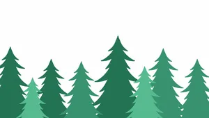 Hình ảnh cây thông file vector mẫu KS711