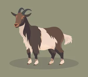 Hình ảnh chú dê file vector mẫu KS516