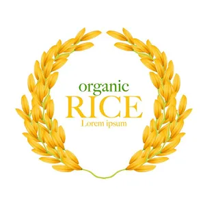 Hình ảnh bông lúa file vector mẫu KS905