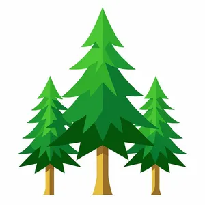 Hình ảnh cây thông file vector mẫu KS741