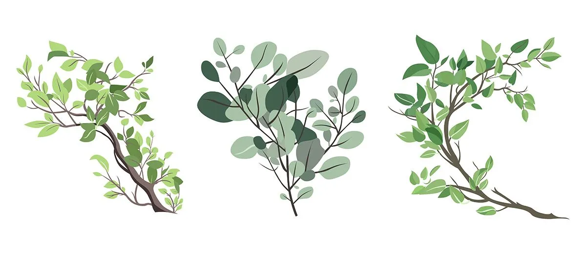 Cành Lá Xanh Tươi - Bộ Hình Minh Họa Vector EPS Đa Dạng