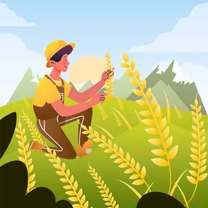 Background canh đồng lúa file vector mẫu KS878